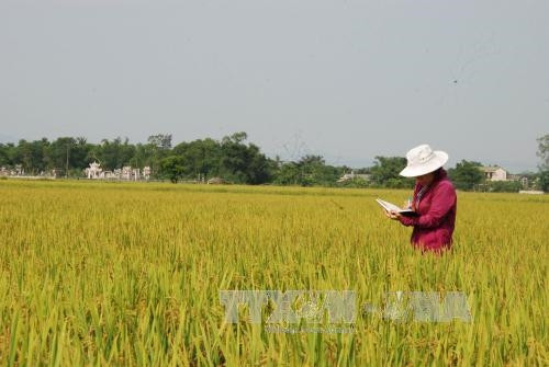 Khuyến khích tích tụ, tập trung đất nông nghiệp (Bài 3)