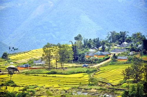 Khởi sắc ở huyện vùng biên Bát Xát