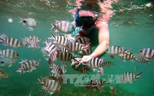 Giới thiệu, quảng bá điểm đến Quốc đảo Mauritius (Châu Phi)