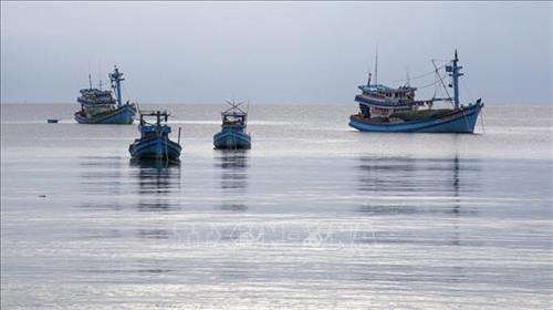 Chấm dứt khai thác hải sản trái phép ở vùng biển nước ngoài