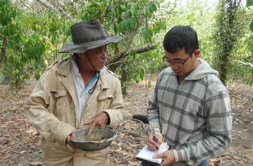 Lão nông 69 tuổi sáng chế bẫy diệt ruồi vàng