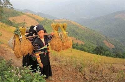 Sản vật đặc hữu từ tinh túy đất trời và bàn tay cần cù lao động