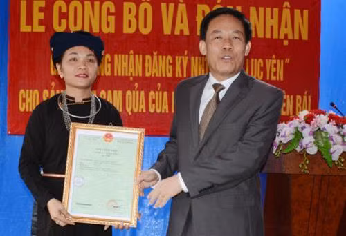 Yên Bái nâng cao giá trị thương hiệu cam Lục Yên