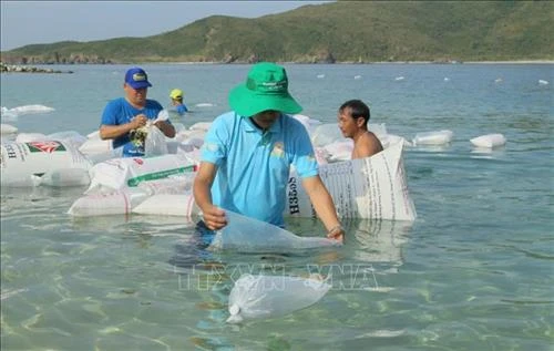Thả cá giống tái tạo nguồn lợi thủy sản trên Vịnh Nha Trang