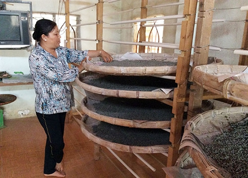 Vươn lên từ nuôi tằm trứng