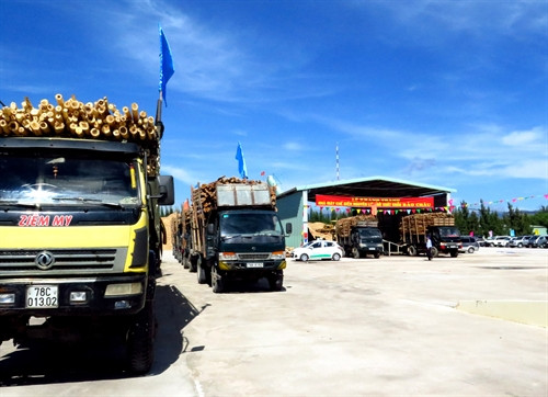 Đưa vào hoạt động nhà máy chế biến gỗ dăm đầu tiên ở Phú Yên