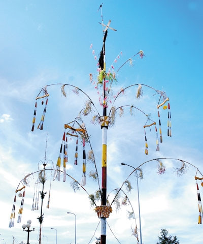 Lễ cắm nêu cúng lúa của người M’nông