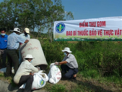Một số lỗi trong việc sử dụng thuốc bảo vệ thực vật của nông dân