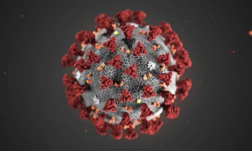 Việt Nam ghi nhận thêm trường hợp thứ 8 dương tính với chủng mới của virus Corona