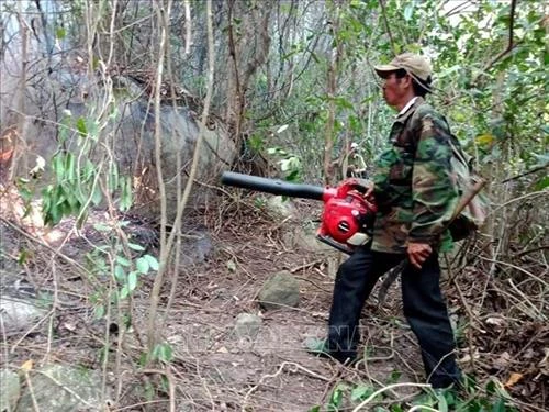 Cơ bản khống chế vụ cháy rừng tại huyện Đức Phổ