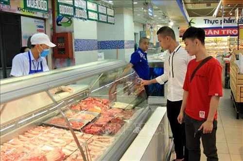 Hướng dẫn biện pháp khẩn cấp về quản lý giết mổ, tiêu thụ sản phẩm lợn