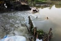 Bến Tre khẩn trương khắc phục sự cố vỡ đê bao cồn Thành Long