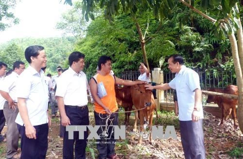 Tuyên Quang hỗ trợ các hộ đồng bào dân tộc thiểu số thoát nghèo bền vững