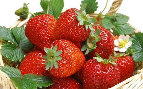 Dâu tây có thể giúp ngăn ngừa nguy cơ ung thư