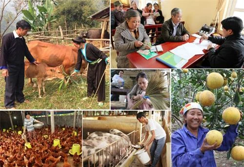 Đối thoại chính sách về hỗ trợ phát triển sản xuất để giảm nghèo ở Sóc Trăng