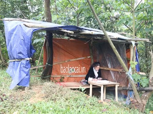 Dịch COVID-19: Học trò nghèo vùng cao Lào Cai vượt lên khó khăn, duy trì việc học