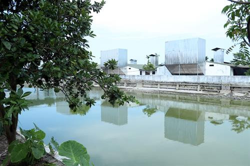Hiệu quả từ một mô hình chăn nuôi khép kín