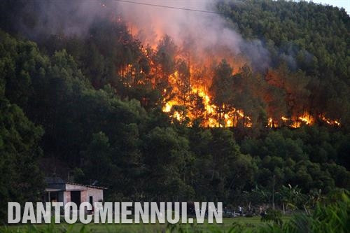 Cảnh báo nguy cơ cháy rừng tại nhiều địa phương