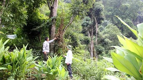 Phát huy giá trị các khu bảo tồn thiên nhiên
