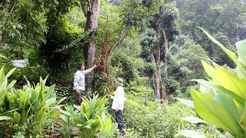 Phát huy giá trị các khu bảo tồn thiên nhiên