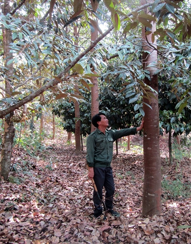 Vươn lên trên miền đất khó