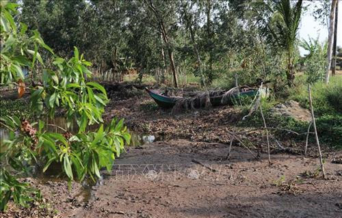 Cà Mau: Công bố tình huống khẩn cấp hạn hán cấp độ 2 tại vùng ngọt hóa