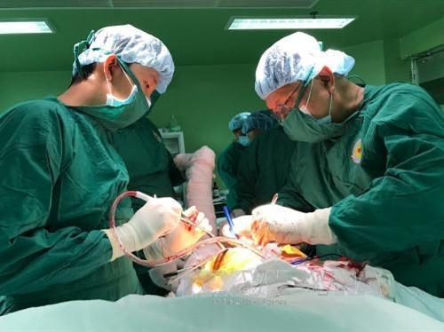Thành phố Hồ Chí Minh: Thay khớp háng thành công cho cụ ông 98 tuổi ở bệnh viện tuyến quận