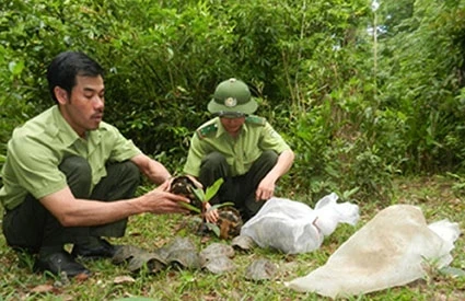 Ngăn chặn nạn săn bắt động vật, thủy sản tại Vườn Quốc gia U Minh Thượng