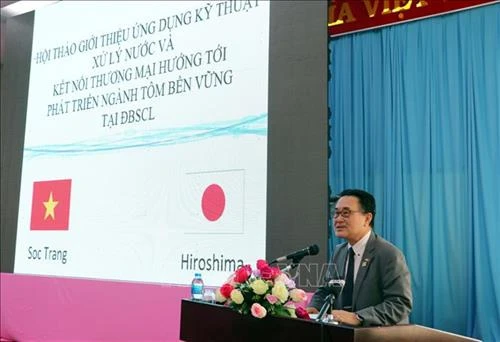 Sóc Trăng hợp tác với Nhật Bản xây dựng thương hiệu tôm sạch