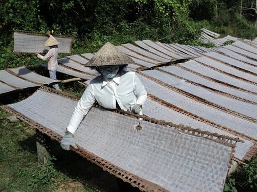 Trà Vinh hỗ trợ đào tạo nghề cho lao động nông thôn