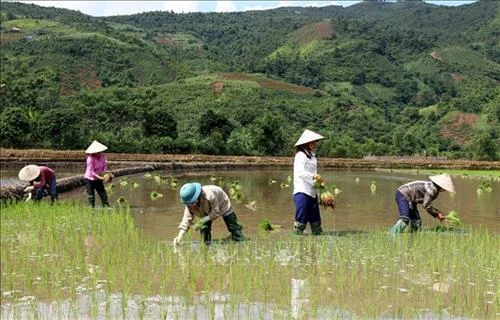 Kinh tế Lào Cai phát triển bền vững