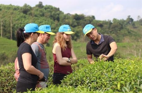 Nghệ An gắn sao chuẩn cho sản phẩm OCOP
