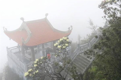 Fansipan - nơi mây vờn gió núi