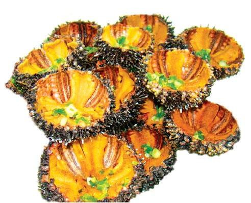 Đặc sản nhum biển Lý Sơn