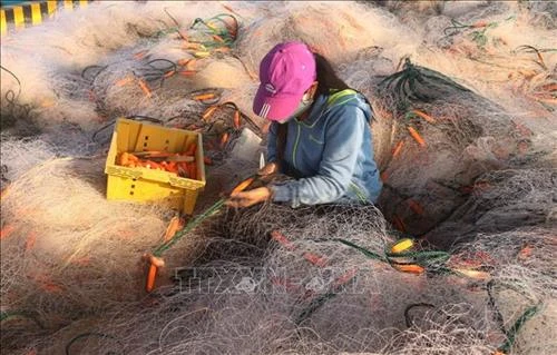 Nghệ An tháo gỡ khó khăn trong thực hiện chương trình giảm nghèo bền vững