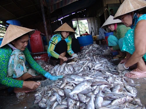 Bạc Liêu khai thác, đánh bắt thủy sản đạt gần 90 nghìn tấn
