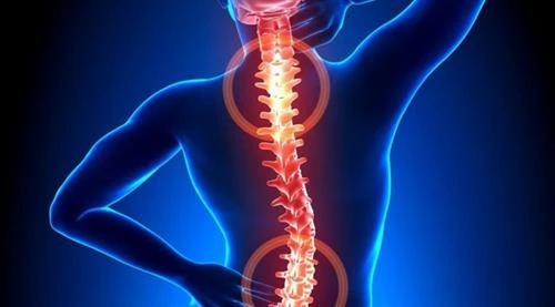 Nhật Bản cấp phép thử nghiệm lâm sàng dùng tế bào gốc điều trị tổn thương tủy sống