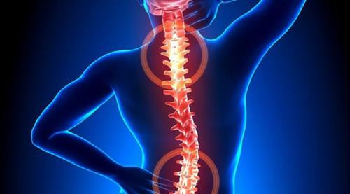 Nhật Bản cấp phép thử nghiệm lâm sàng dùng tế bào gốc điều trị tổn thương tủy sống