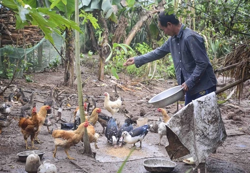 Điện Biên: Cuộc sống mới ở những điểm sắp xếp dân cư theo Đề án 79