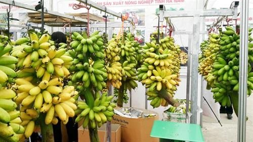 7 món đặc sản nhắc đến là thèm của Hà Nam