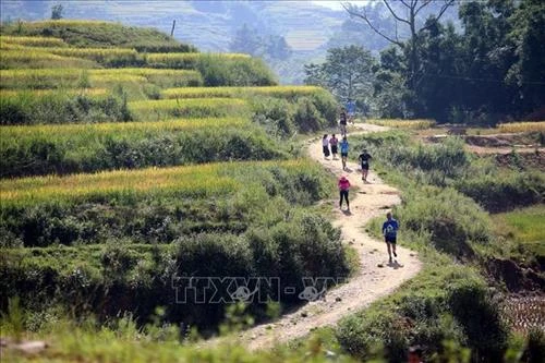 Hơn 3.100 vận động viên tham gia Giải Marathon vượt núi quốc tế Sa Pa năm 2018