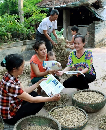 Dân kém mặn mà với bảo hiểm y tế tự nguyện
