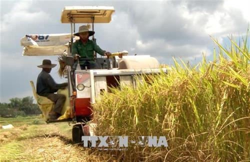 Những điểm sáng trong dồn điền đổi thửa ở Quảng Ngãi