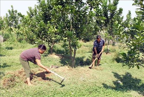 Bắc Giang: Tạo cơ hội để người nghèo tiếp cận các dịch vụ sản xuất, dịch vụ xã hội cơ bản