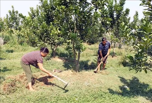 Bắc Giang: Tạo cơ hội để người nghèo tiếp cận các dịch vụ sản xuất, dịch vụ xã hội cơ bản