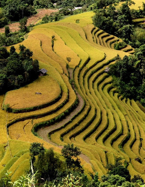 Bàn giải pháp thúc đẩy liên kết, phát triển vùng Tây Bắc
