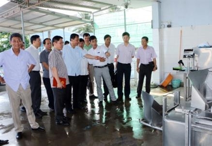 Mô hình hợp tác xã nuôi bò sữa giúp đồng bào Khmer thoát nghèo