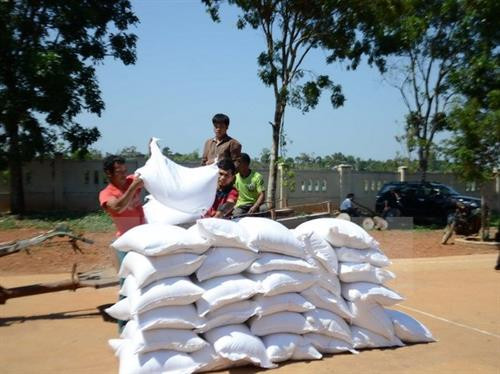 Hỗ trợ gạo cho học sinh vùng khó tỉnh Thanh Hóa