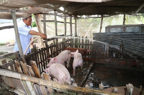 Đồng bào các dân tộc ở Sóc Trăng chung tay xây dựng nông thôn mới