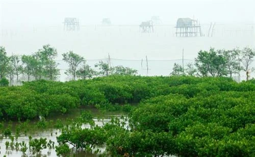 Nam Định: Khai thác giá trị đặc thù của địa phương để phát triển du lịch 